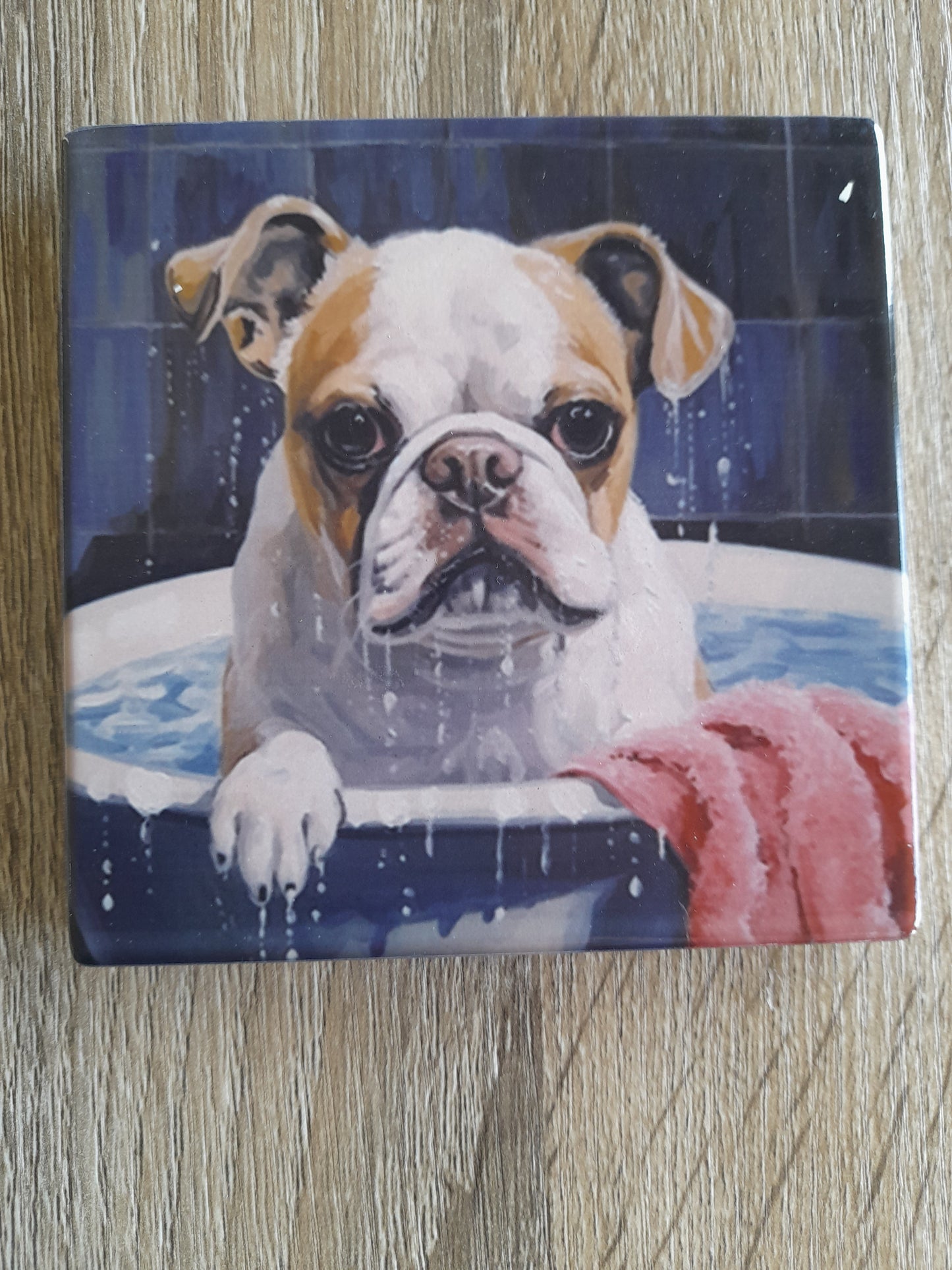 set 0f 4 ceramic dogs coasters