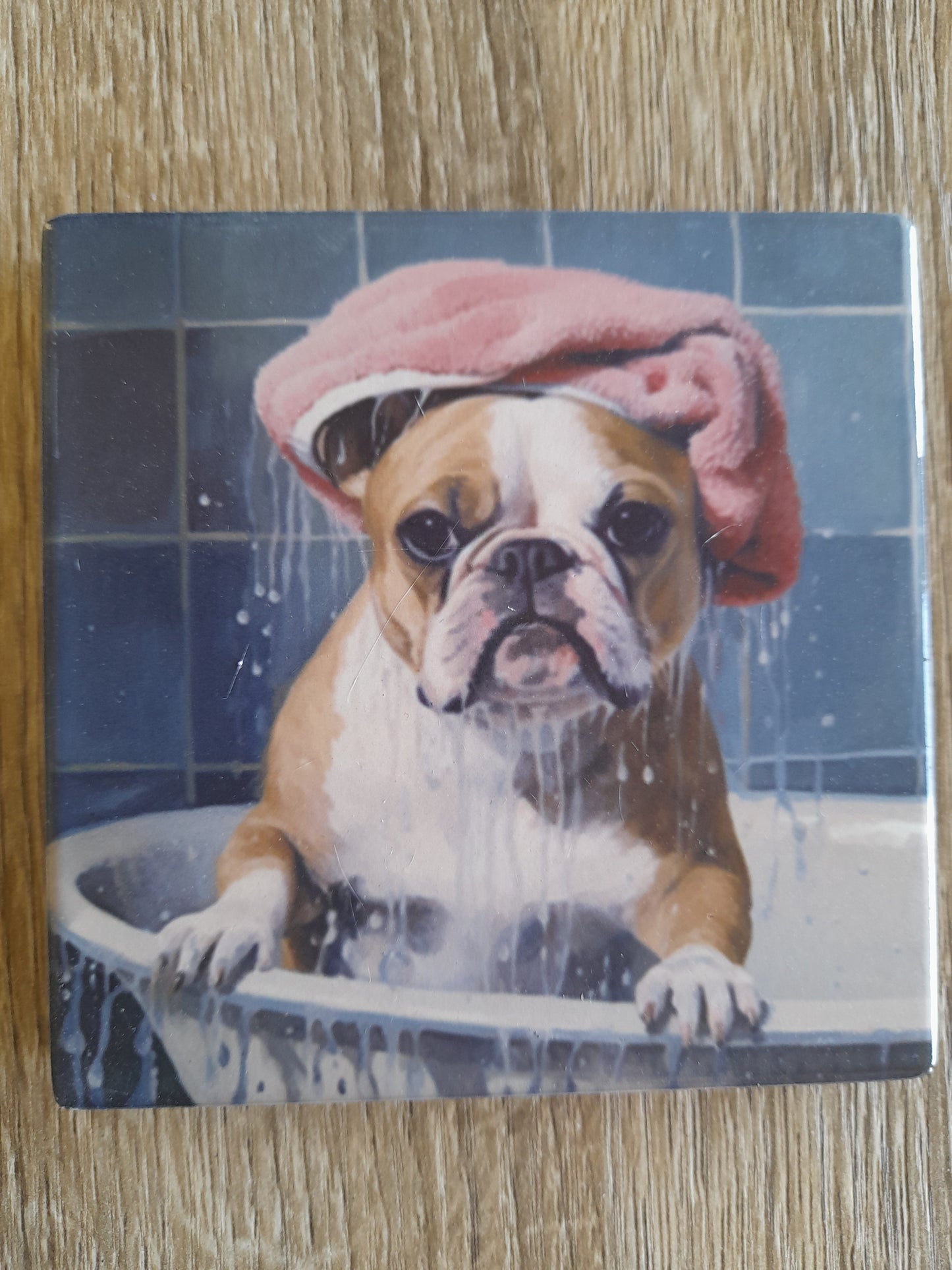 set 0f 4 ceramic dogs coasters