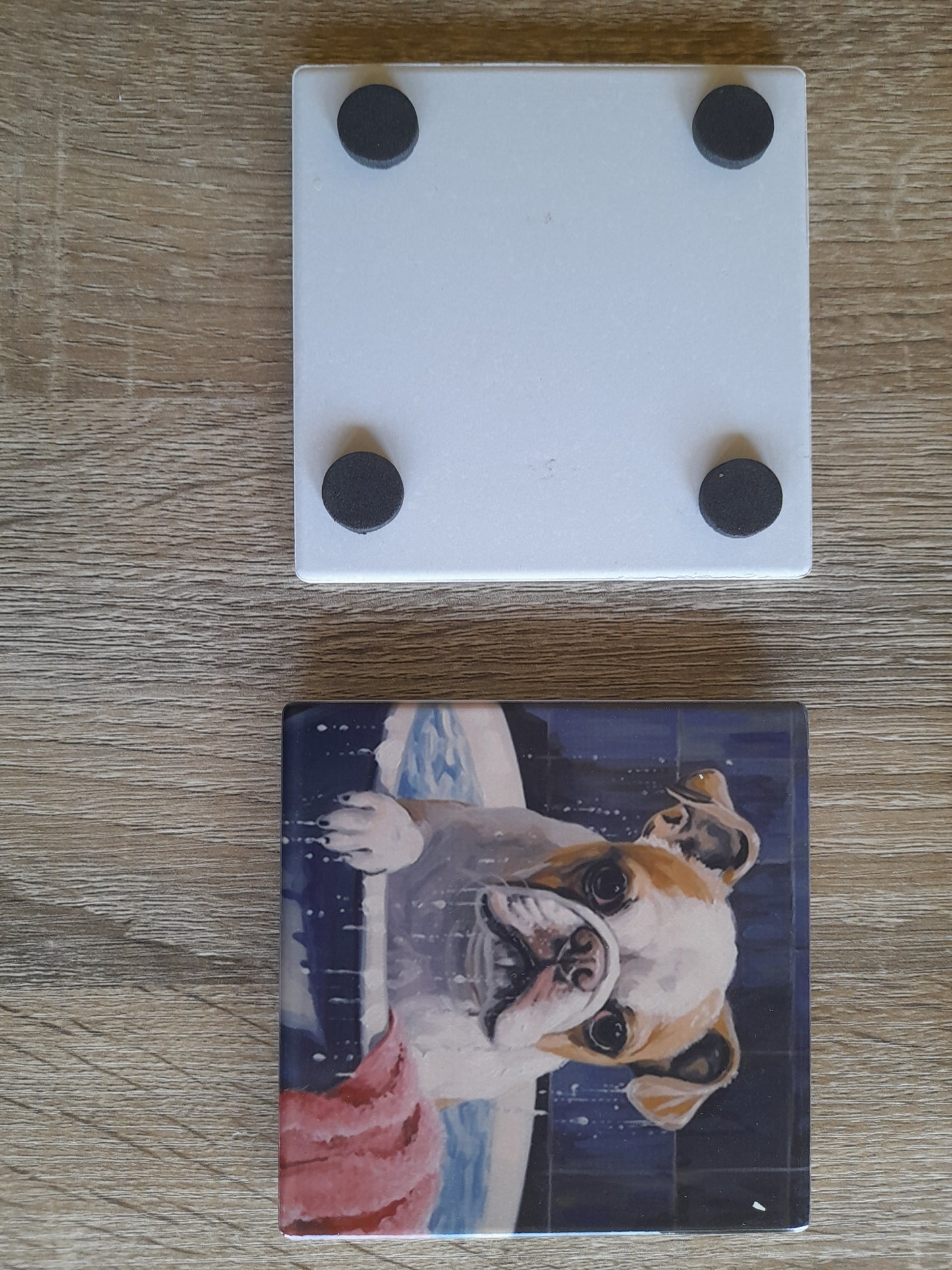 set 0f 4 ceramic dogs coasters
